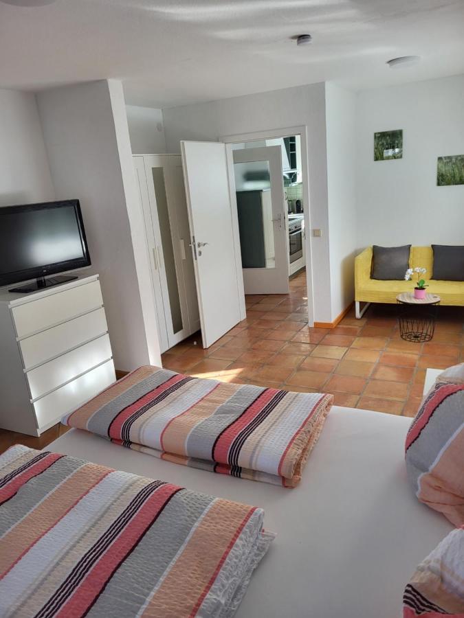 Ferienwohnung Fischbach FDH 외부 사진